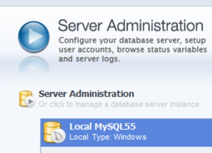 mysql workbench server administration