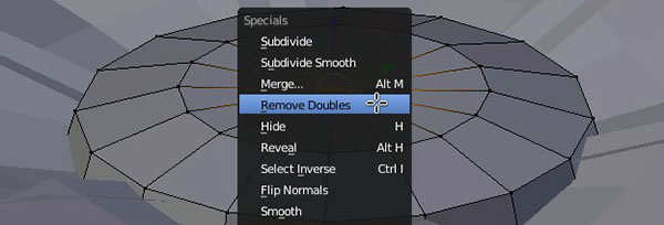 Remove Doubles