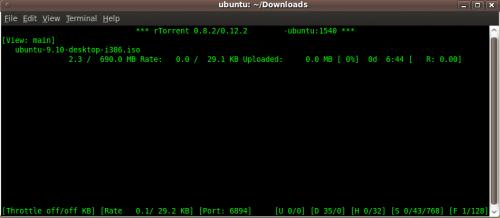 Il terminale di Ubuntu, nel quale è eseguito rTorrent (fonte: Wikipedia)