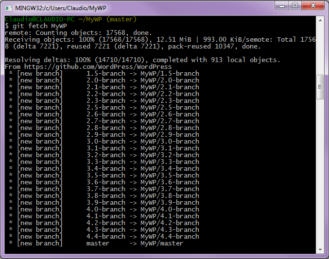 Caricamento dati dal repository remoto