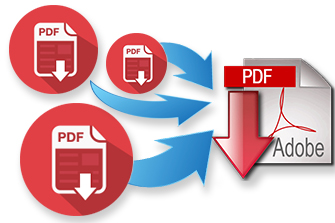 PDF