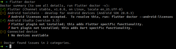 Possibile output del comando 'flutter doctor' con diverse problematiche di configurazione
