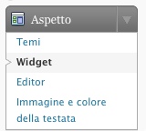 widget tag wordpress