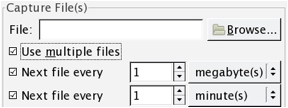 Wireshark file cattura
