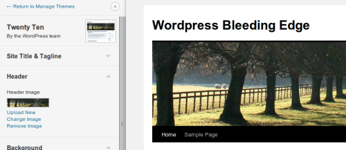 Figura 3. WordPress 3.4 theme customizer