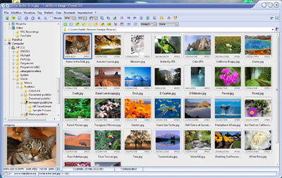 Interfaccia FastStone Image Viewer