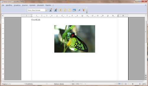 Esempio di gestione immagine - OOo4Kids