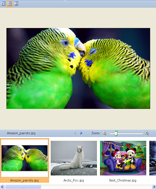Microsoft Office Picture Manager: Esempio di visualizzazione sequenza