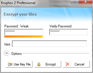 Kruptos 2 Professional: Pannello inserimento password