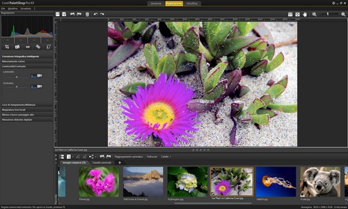 PaintShop Pro X4: Esempio di immagine dopo la regolazione automatica