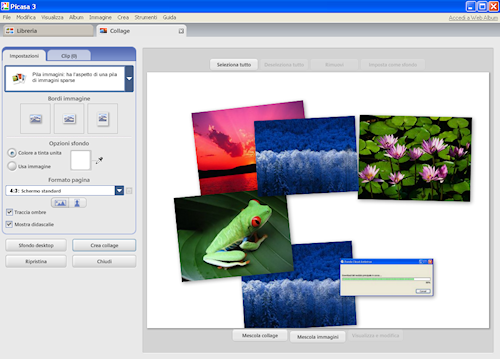 Picasa: Finestra impostazioni collage