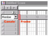 Director Frame