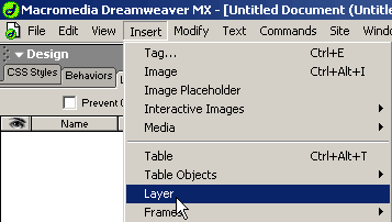 Inserimento di un layer dal menù Insert