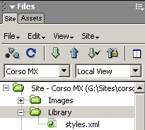 Il file styles.xml nel sito locale