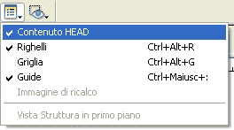 Attivare la visualizzazione del tag <head>