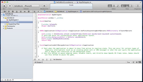 Figura 11: Schermata principale di Xcode