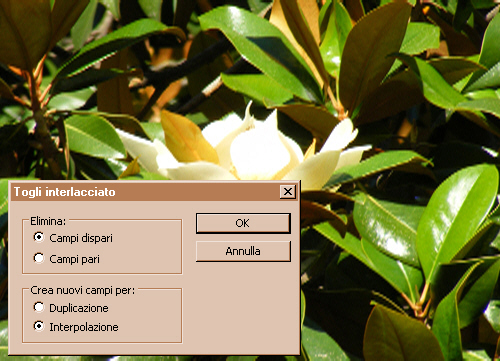 esempio Togli interlacciato